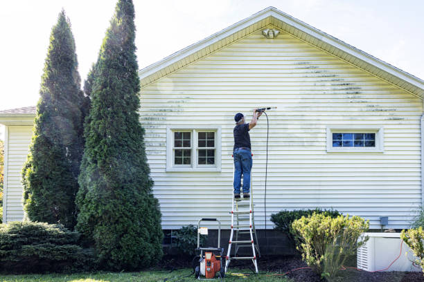 Best Brick and Stone Cleaning in London, KY